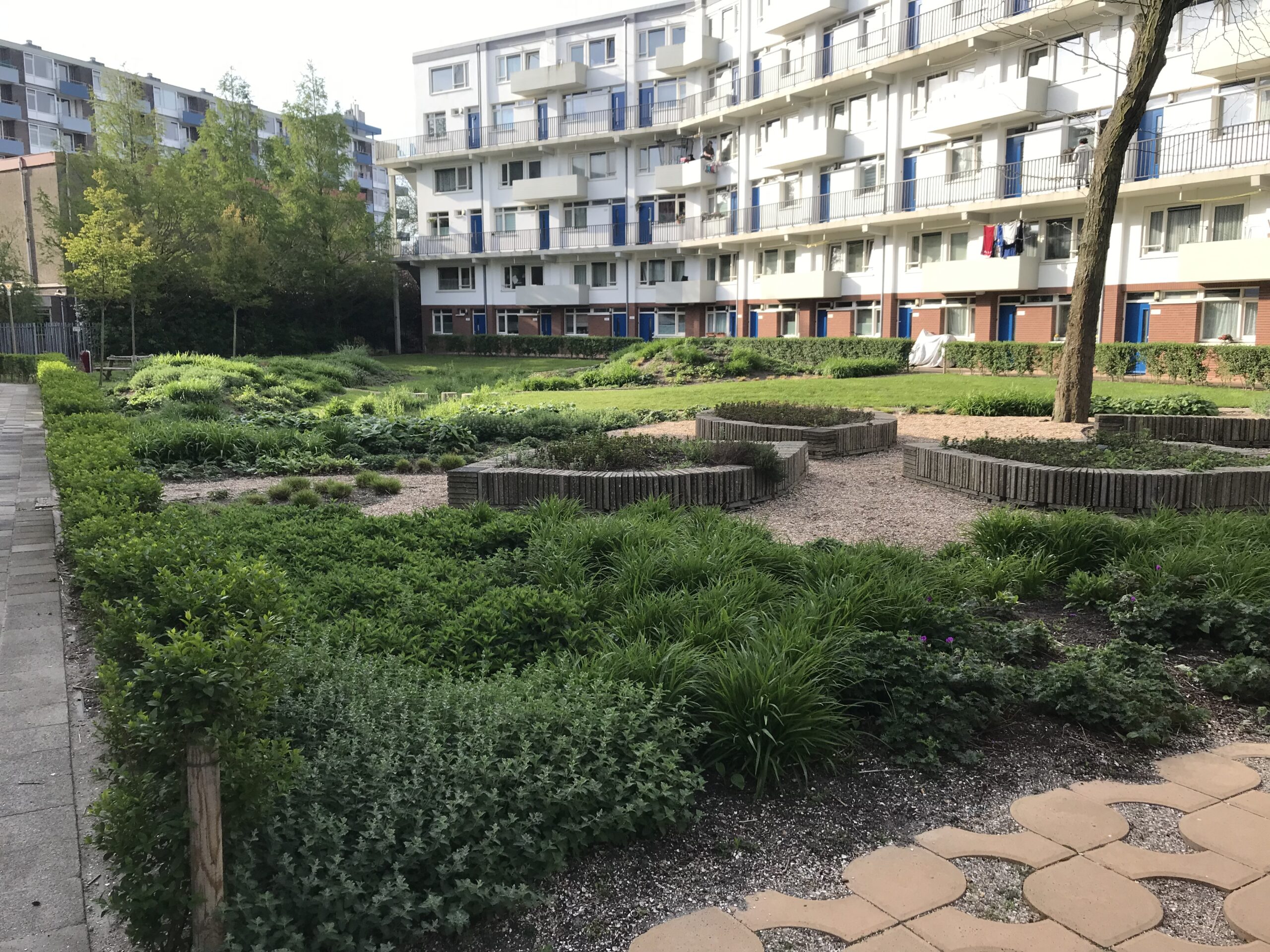 Spetterflat: Klimaatadaptieve Binnentuinen in Mathenesserflats